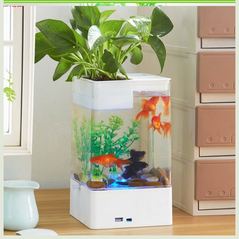 水培植物鱼缸一体创意养花两用水培鱼缸可以养鱼的植物鱼花共养3.jpg