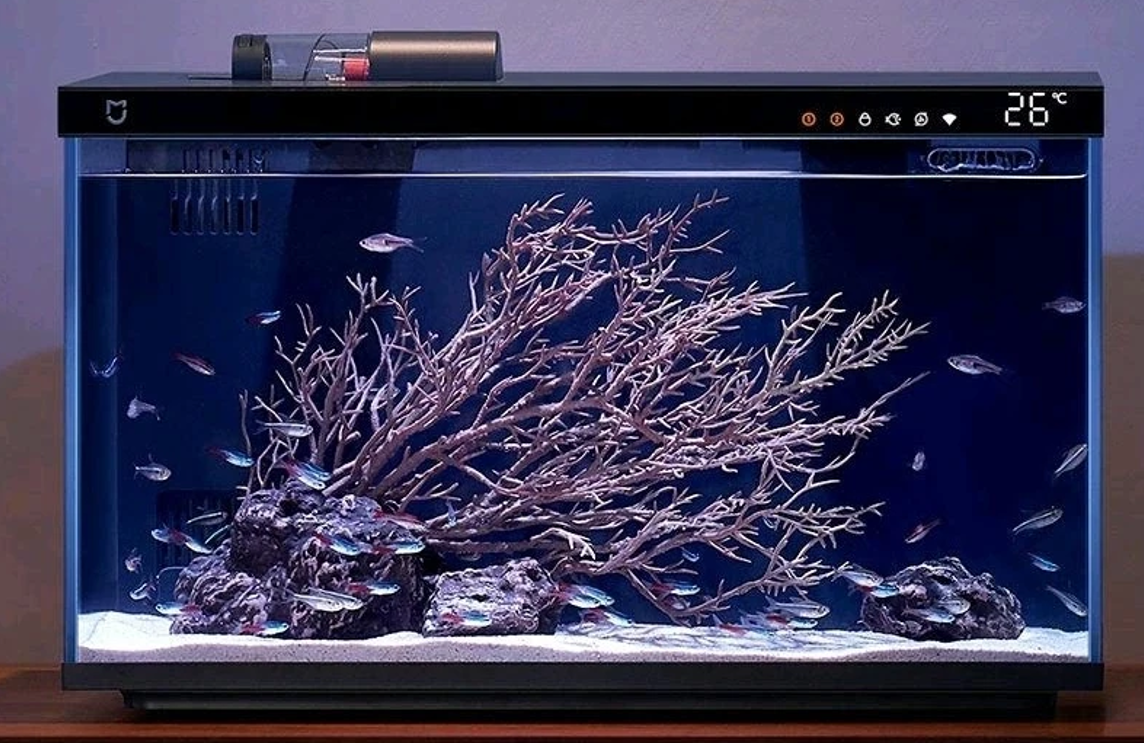屏幕截图 2025-09-12 143230.png